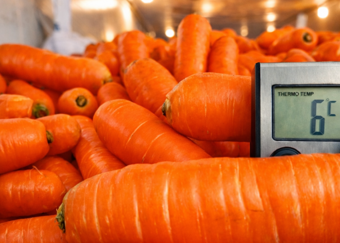 2AF1BB5E-D22F-4259-B5B4-D7F85373D91F