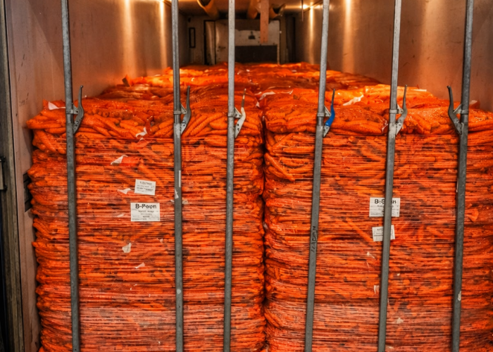 92B2D7D6-06C4-4531-9A13-D69B0982D8F0